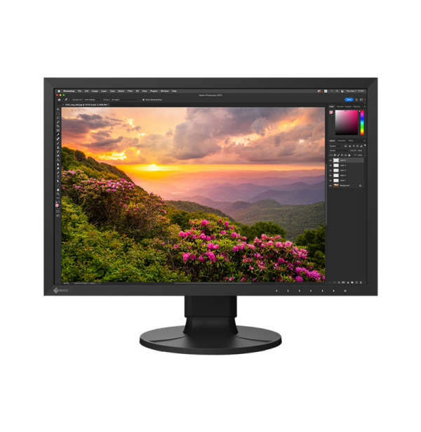 EIZO CS2400S